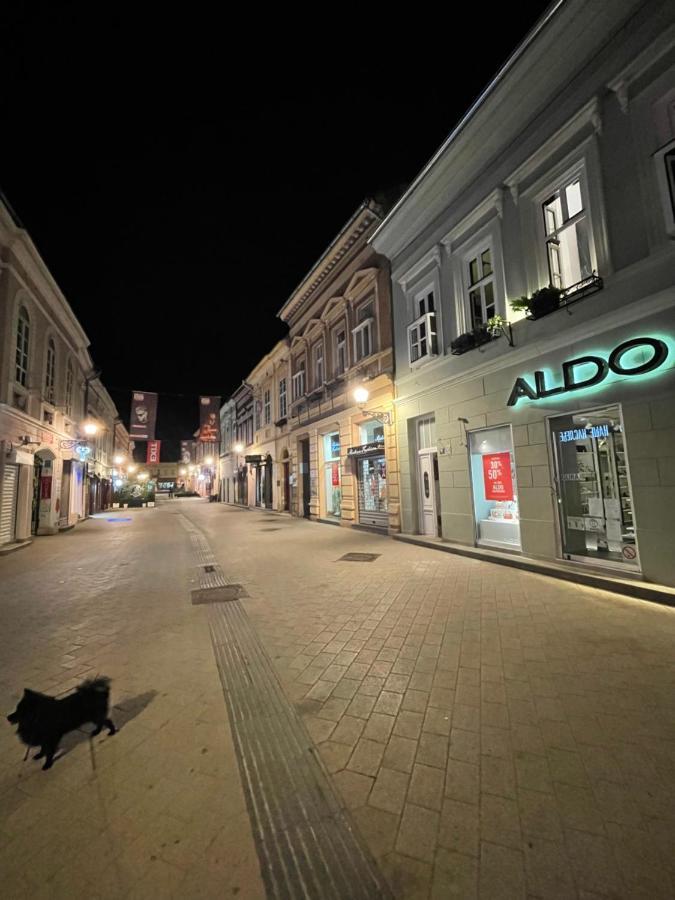 Appartement Lux Dabich à Novi Sad Extérieur photo